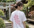 画像4: 桜の里Tシャツ (4)