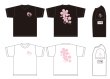 画像6: 桜の里Tシャツ (6)