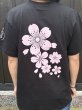 画像2: 桜の里Tシャツ (2)